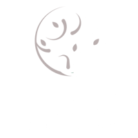 logo thomas harneit k.e.e. 500x500 weiss logo thomas harneit k.e.e. 500x500 weiss